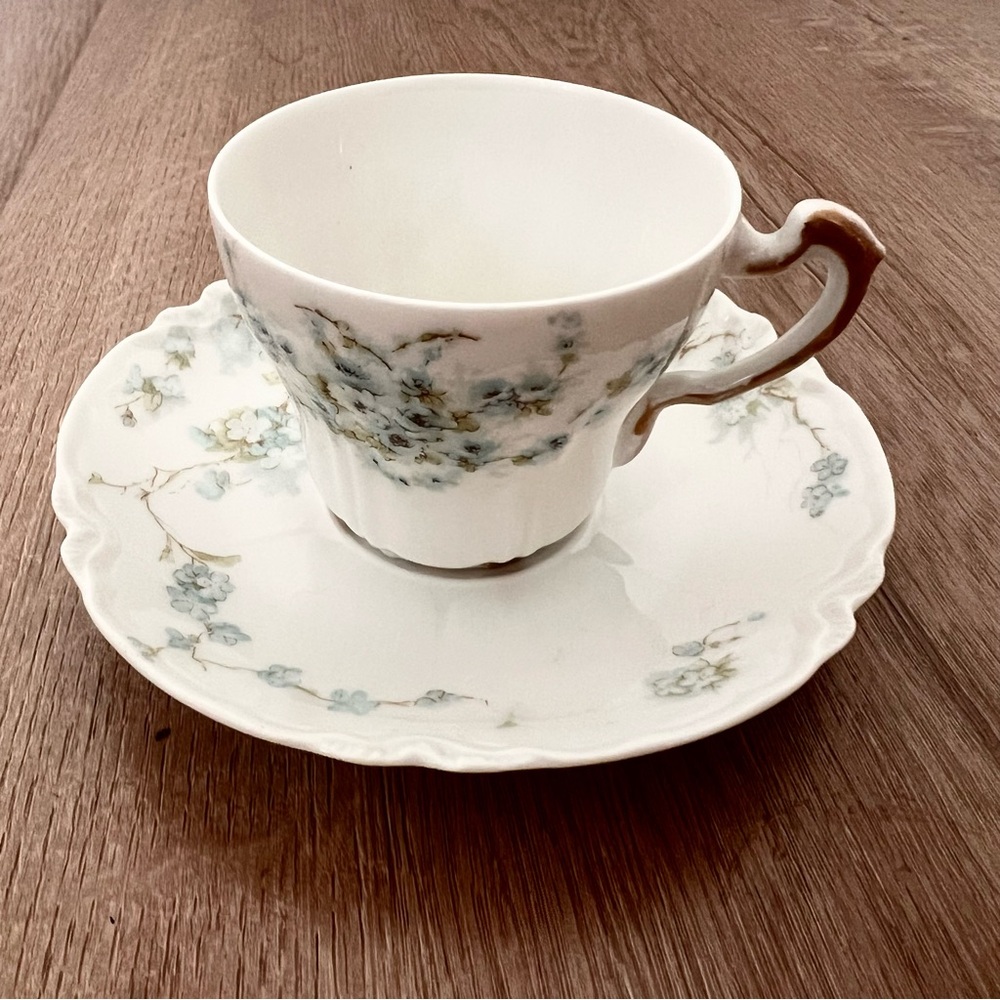 Vtg Haviland & Co Limoges France Small‎ Tea Cup & Saucer Blue Flowers Gold Trim